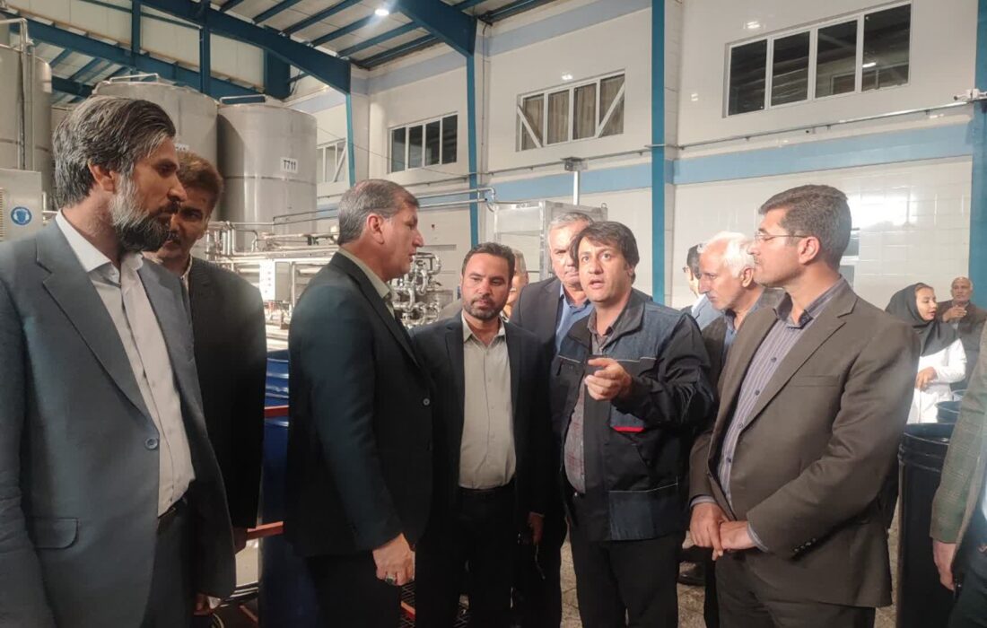 قاینات قطب تولید زرشک و زعفران است