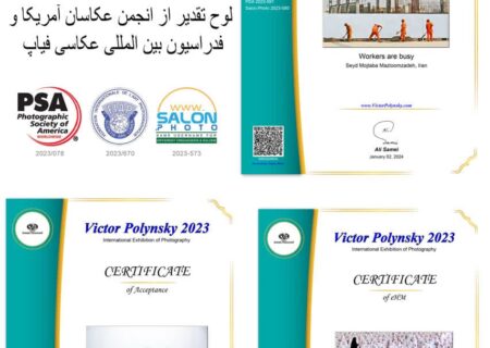 درخشش هنرمند قاینی در پنجمین جشنواره ویکتورپولینسکی قرقیزستان