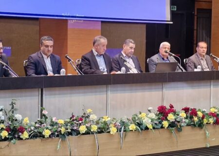 تثبیت قیمت زرشک و زعفران از اولویت‌های دولت در استان خراسان جنوبی باشد
