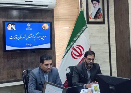 جذب ۲۵ درصد اعتبارات مشاغل خانگی در شهرستان قاینات