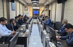مراکز عرضه تخم مرغ، مرغ و گوشت زیر ذره بین دستگاه های نظارتی