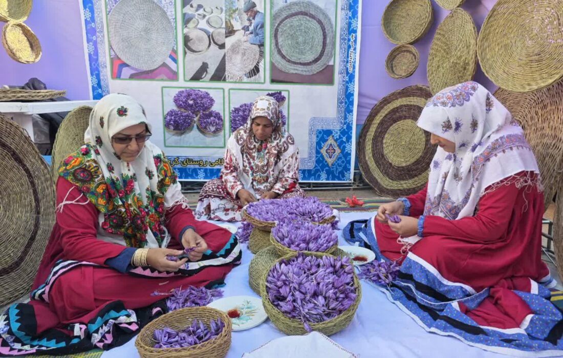 زعفران قاینات در نقطه عطف تاریخی