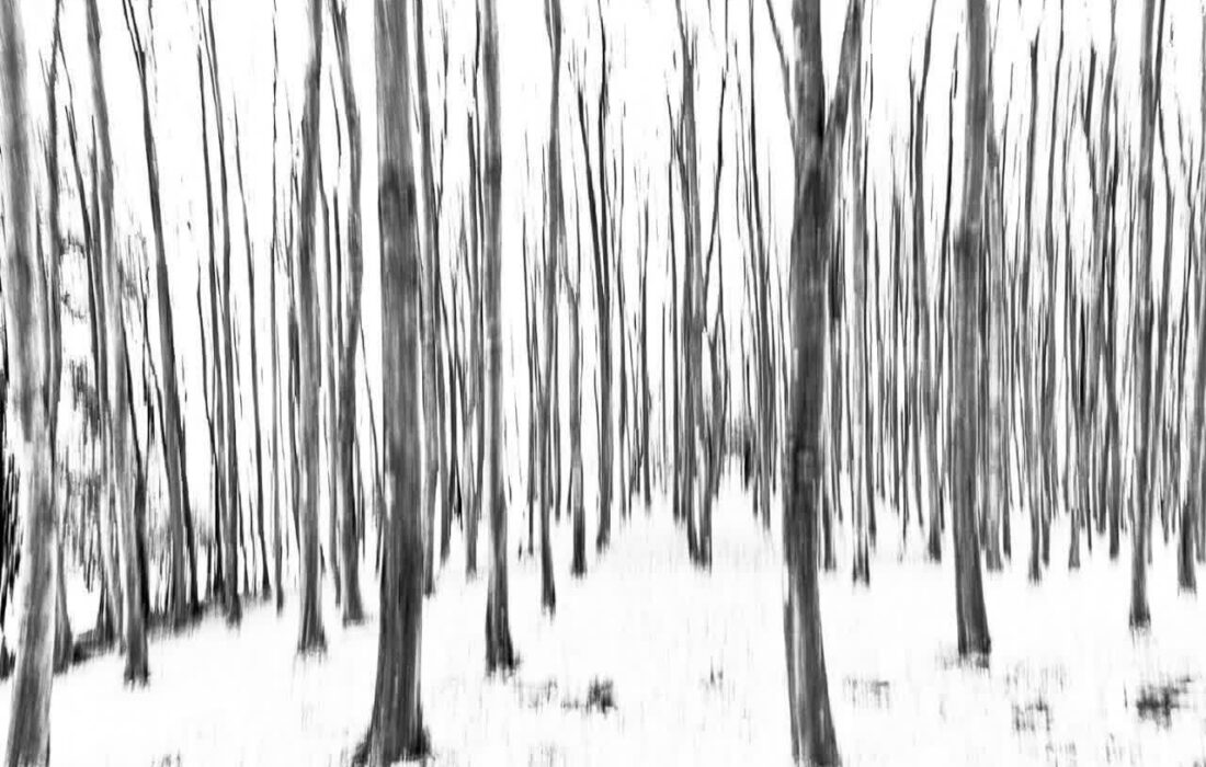 راهیابی اثر هنرمند قاینی به بخش نهایی جشنواره ملی عکس “گونای” استان زنجان