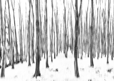 راهیابی اثر هنرمند قاینی به بخش نهایی جشنواره ملی عکس “گونای” استان زنجان