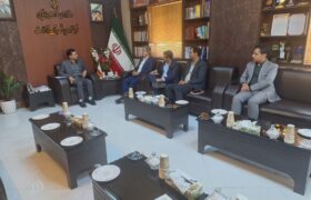 ضرورت راه‌اندازی مراکز تخصصی زرشک در شهرستان قاینات و زعفران