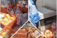 کشف و ضبط گوشت مرغ و آلایشات تاریخ گذشته در شهرستان قاینات