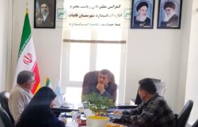 از نظارت بر ۱۲۷ واحد تولیدی تا صدور ۲۴۸ پروانه و مجوز استاندارد